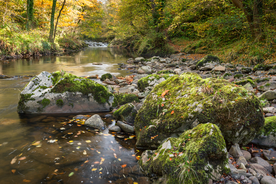 Moss covered stones in the Afon Mellte in Wales