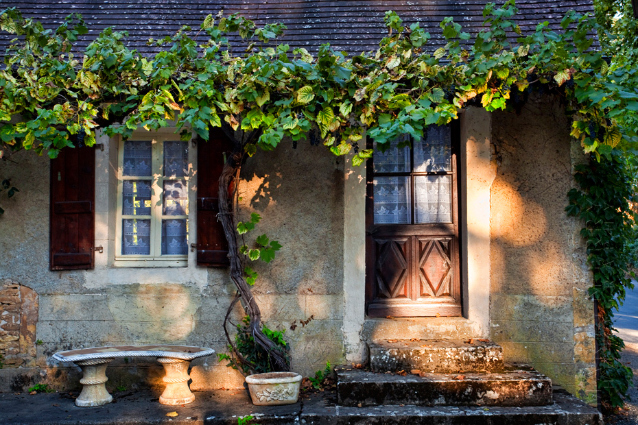 Beautiful dappled sunlight in this image of a maison in St Leon sur Vezere