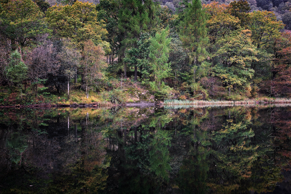 Beautiful autumn colours of trees reflected in water