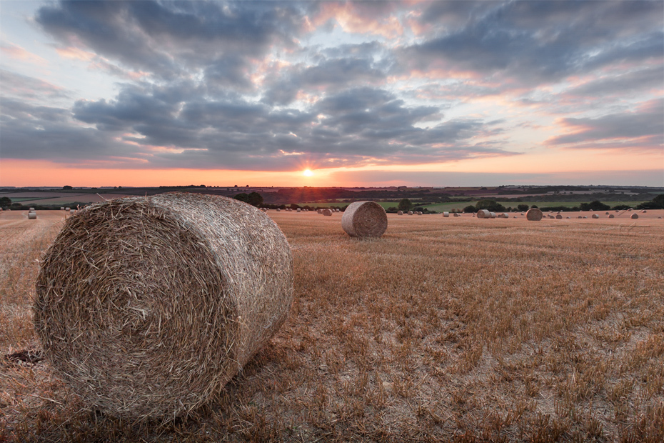 Beautiful Cotswold landscape of hay bales at sunset