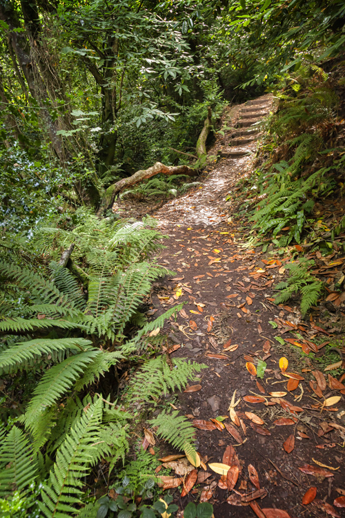 South West Coast Path to Culbone on the Exmoor coastline