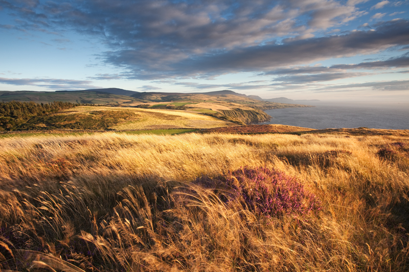 A Patch of Purple - Isle of Man Seascapes/Coastal