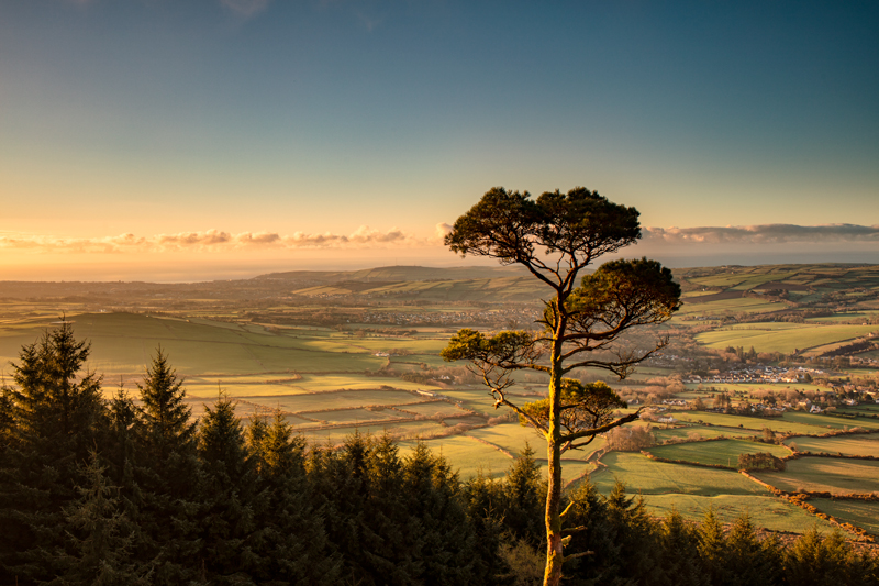 The Treetop View - Isle of Man Landscapes