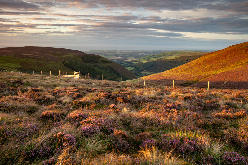 The Golden Gateway - Isle of Man Landscapes