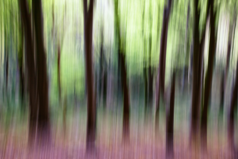 Woodland - Other Work