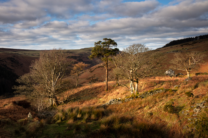 Ballaskella in the sun - Isle of Man Landscapes