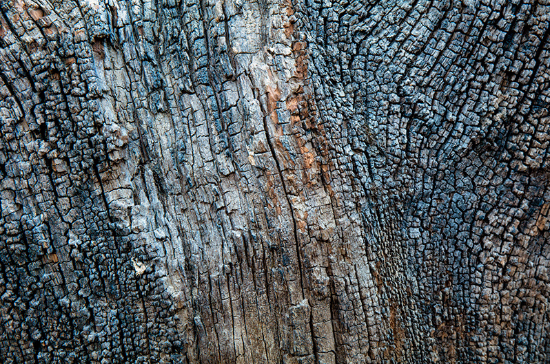 Stump - The Isle of Man Close Up