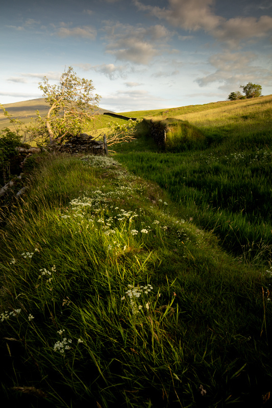White Lines - Isle of Man Landscapes