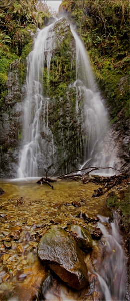 Dhoon Glen - Manx National Glens