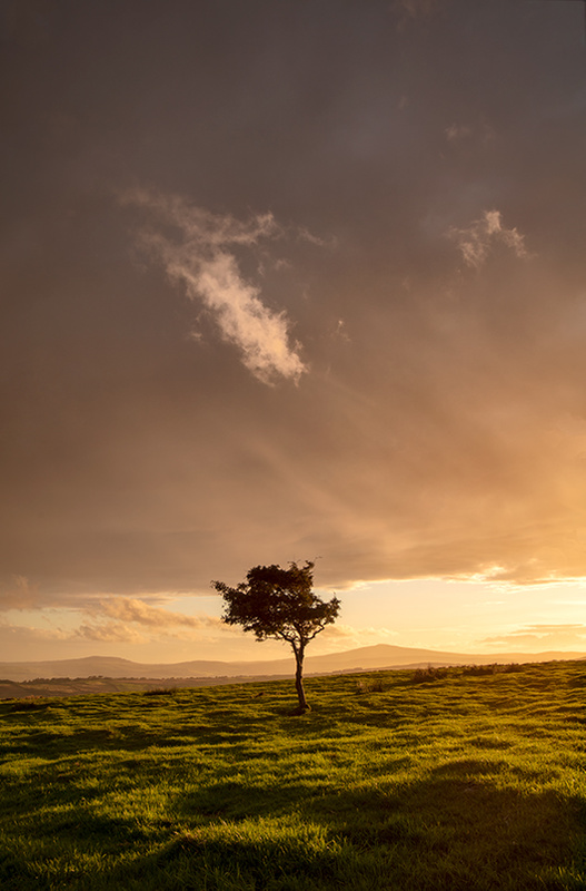 Against the Elements - Isle of Man Landscapes
