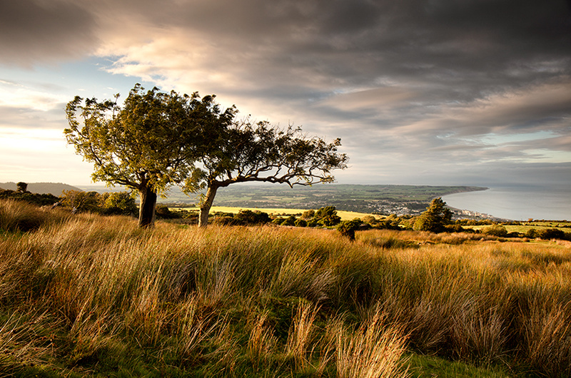 The Break - Isle of Man Landscapes