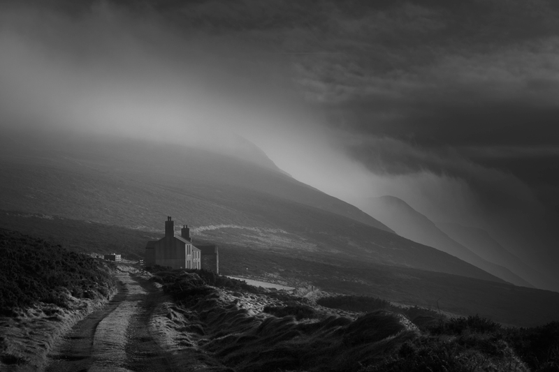 Eary Cushlin - Mann in Mono