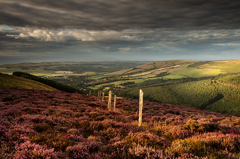 Slieau Curn - Isle of Man Landscapes