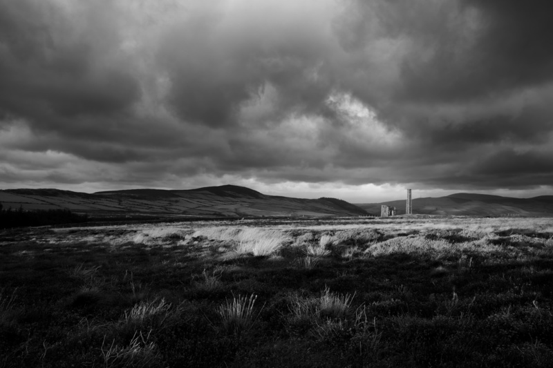 Cross Vein - Mann in Mono