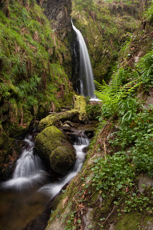 Little Girl - Manx National Glens