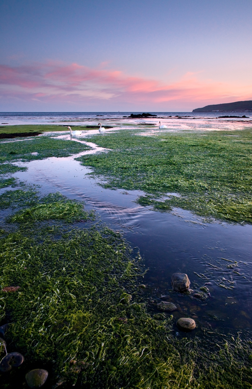 Silent Running - Isle of Man Seascapes/Coastal
