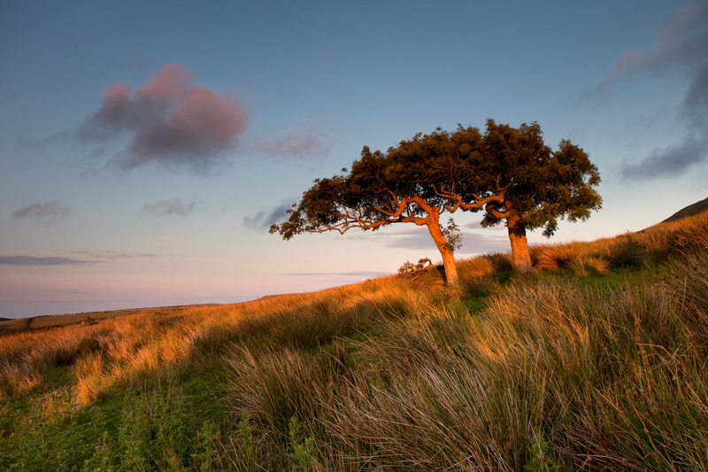 Summer Breeze - Isle of Man Landscapes