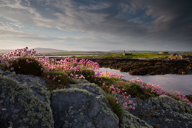 The Evening Thrift - National Landmarks