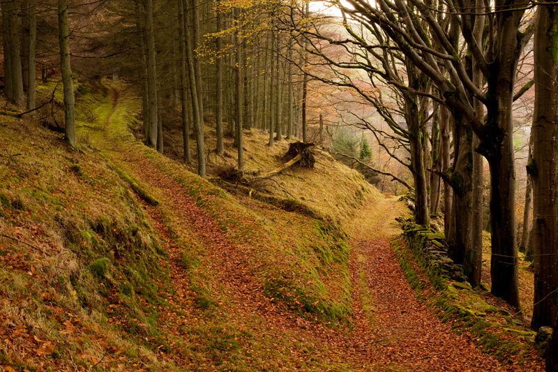 The Dividing Line - Manx National Glens