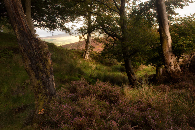Beyond The Dale - Isle of Man Landscapes