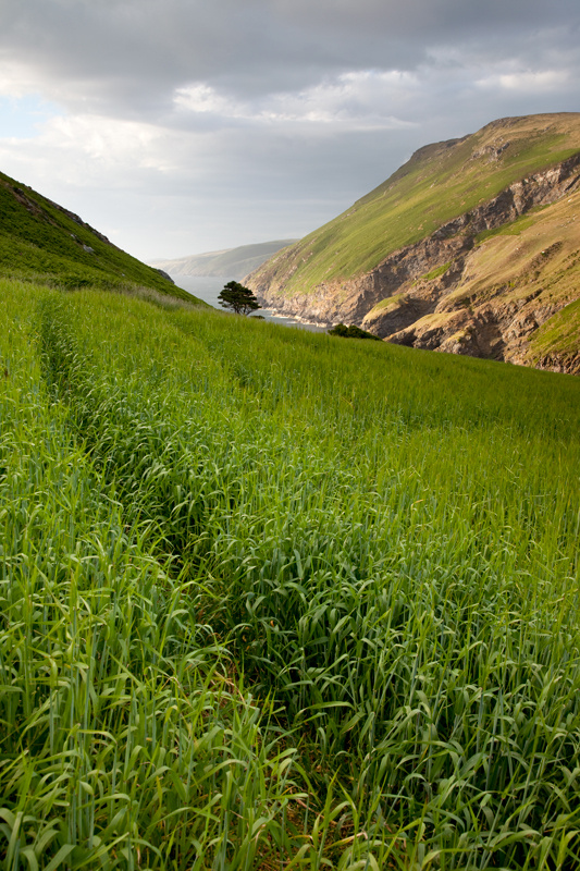 Fleshwick - Isle of Man Landscapes