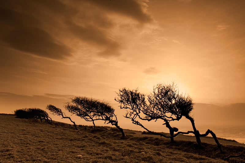 Prevailing - Isle of Man Landscapes