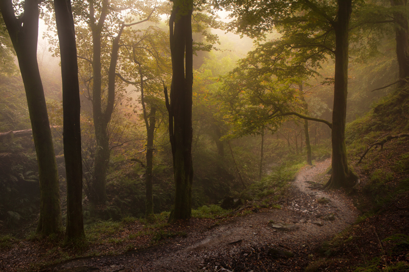 Dhoon Glen Mist - Manx National Glens