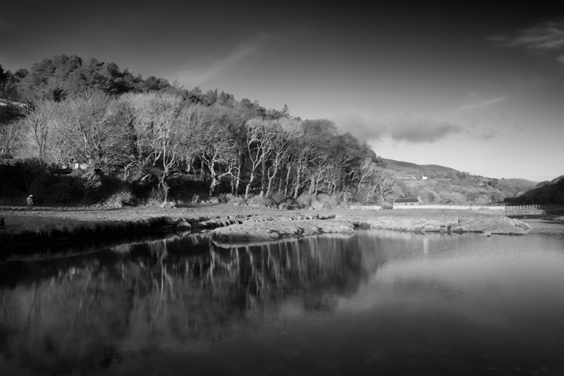 Morning Walk - Mann in Mono