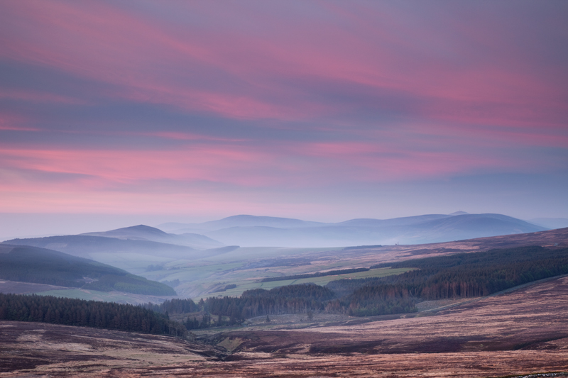 Patrick in the Pink - Isle of Man Landscapes