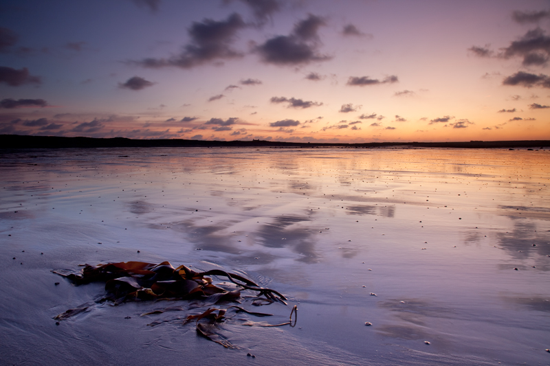 Cold Morning Light - Isle of Man Seascapes/Coastal