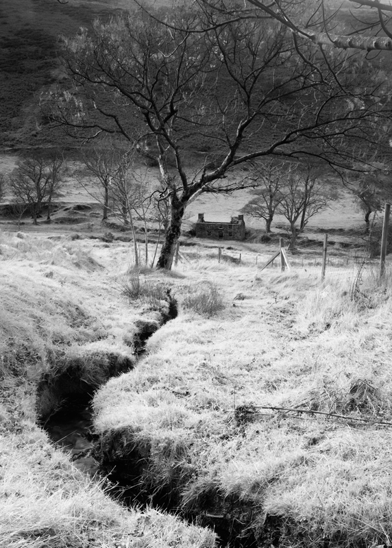 Glen Dhoo - Mann in Mono