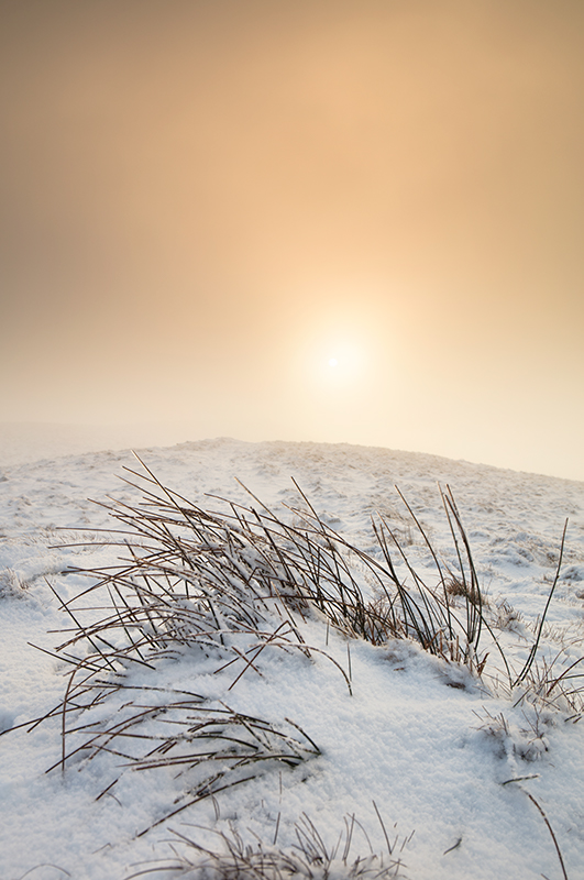 Amidst the Mist - Isle of Man Landscapes