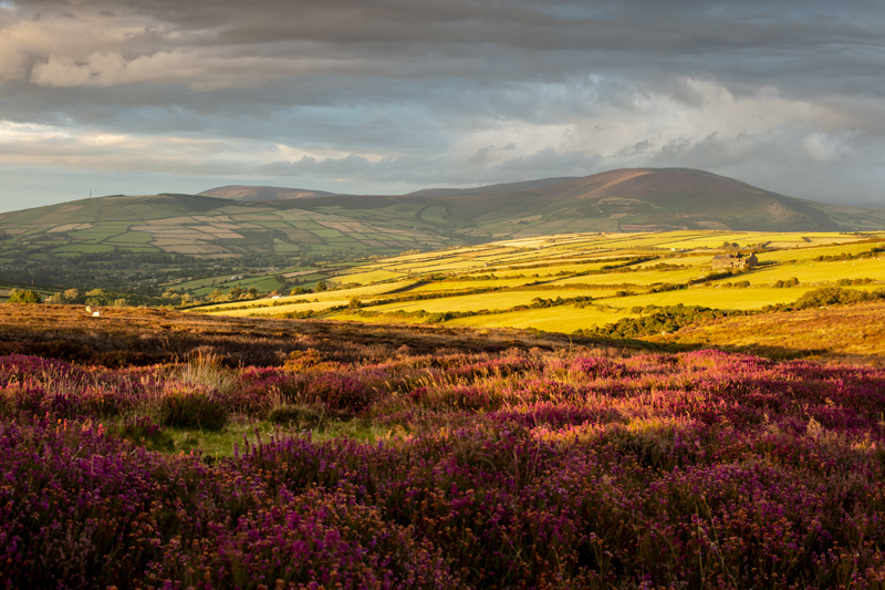 The Summer Evening - Isle of Man Landscapes