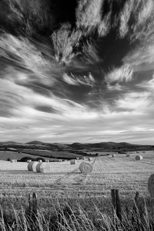 Northern Sky - Mann in Mono