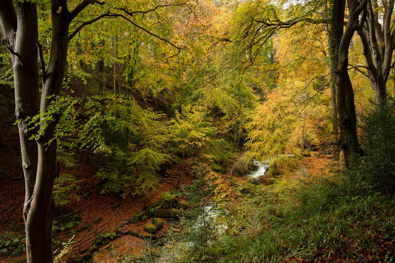 Autumn Splash - Manx National Glens
