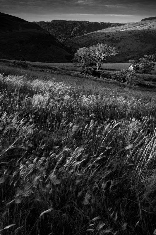 Killabrega - Mann in Mono