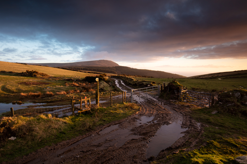 Along the waterway - Isle of Man Landscapes