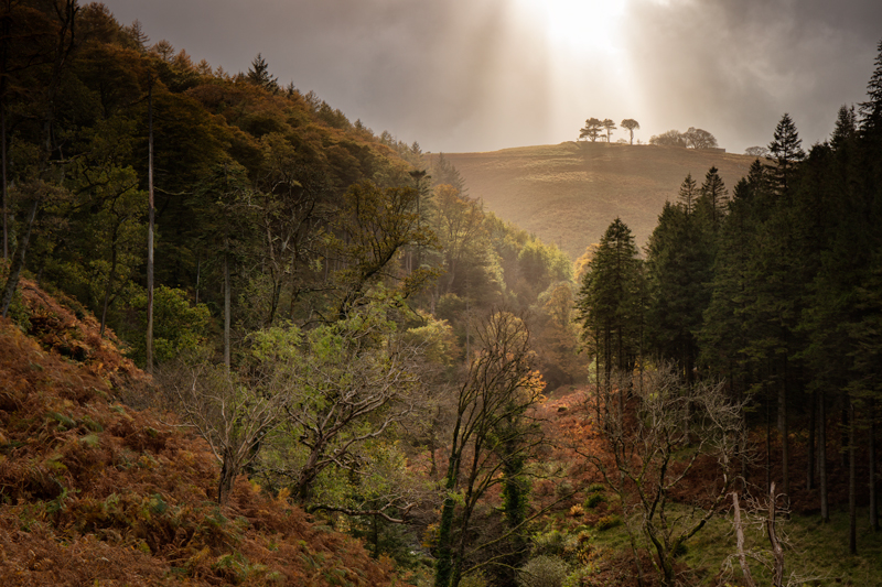 The Sun Spot - Isle of Man Landscapes