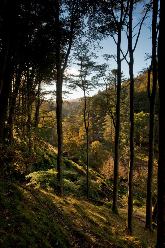 From Behind Bars - Manx National Glens
