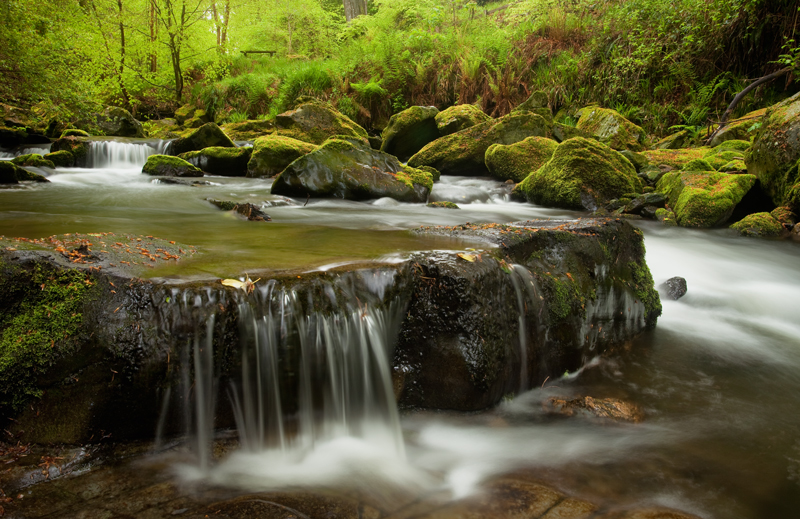 May in the Glen - Manx National Glens