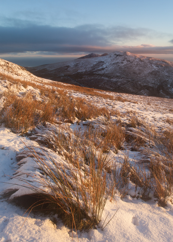 Festive Snow - Isle of Man Landscapes