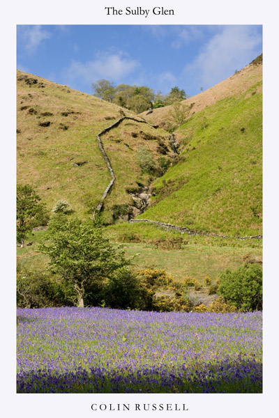 The Sulby Glen - Isle of Man Landscapes