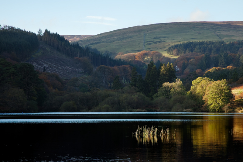 Black and Gold - Isle of Man Landscapes