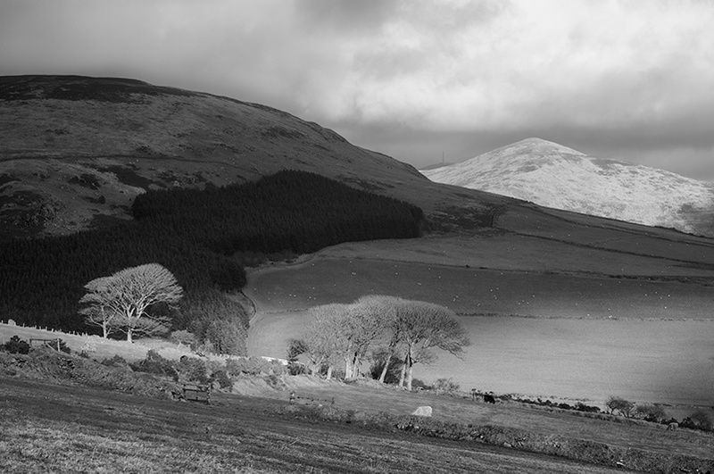 Applying the breaks - Mann in Mono
