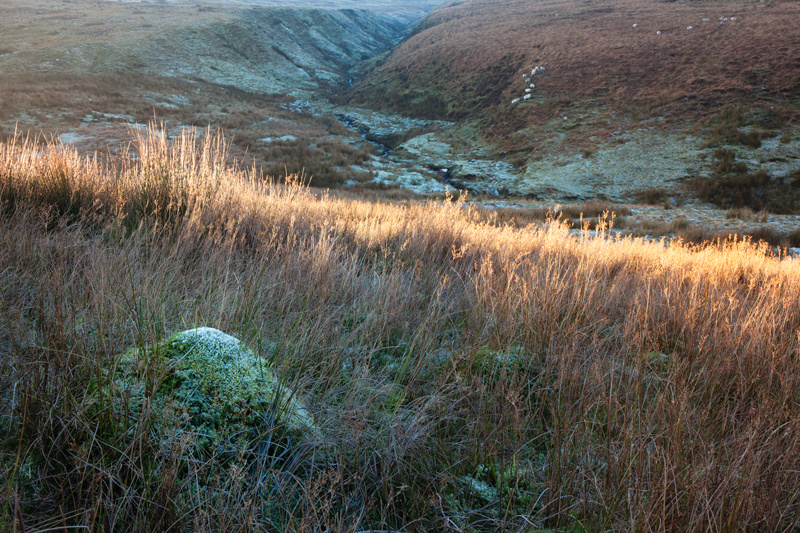 Moss Mound - Isle of Man Landscapes