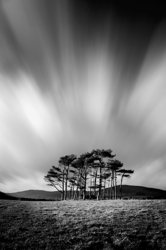 Standing Firm - Mann in Mono