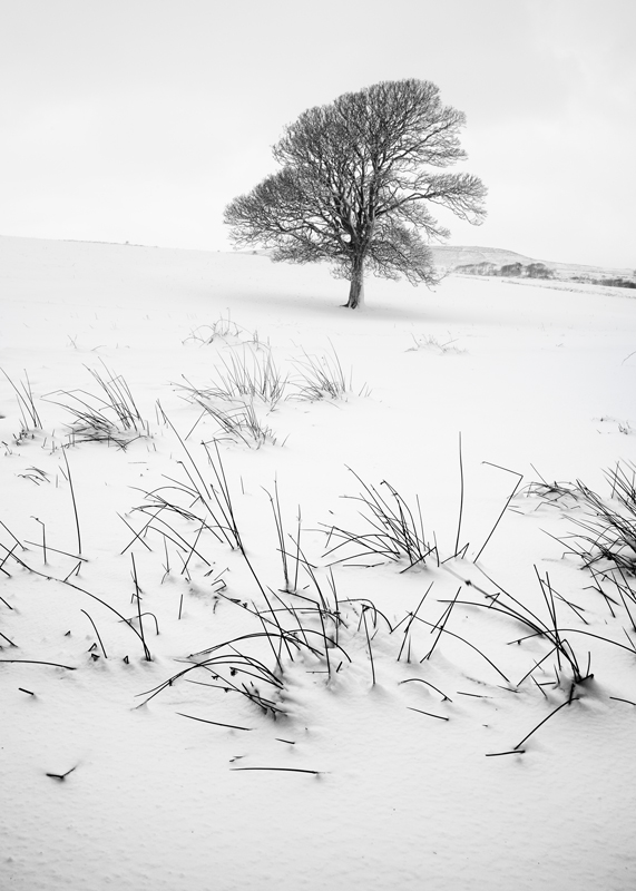 Not Alone - Mann in Mono