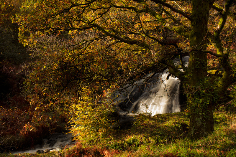 Fall into Autumn - Isle of Man Landscapes