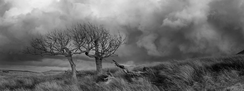 We Might Be Giants - Isle of Man Landscapes