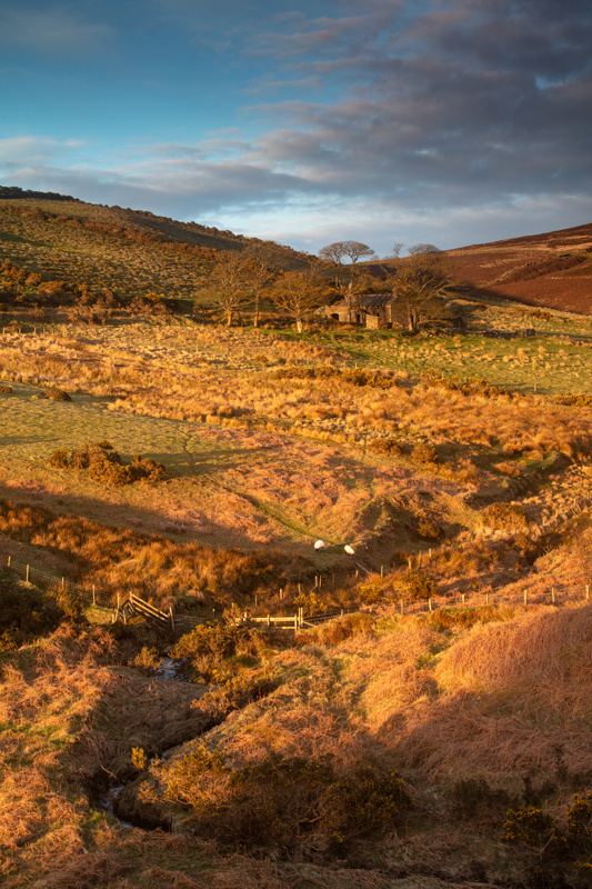 Let the sunlight in - Isle of Man Landscapes